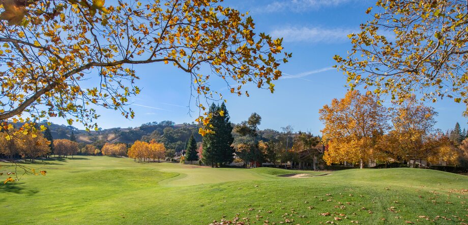 img of green landscape with blue skies